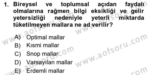 Kamu Ekonomisi 1 Dersi 2020 - 2021 Yılı Yaz Okulu Sınav Soruları 1. Soru