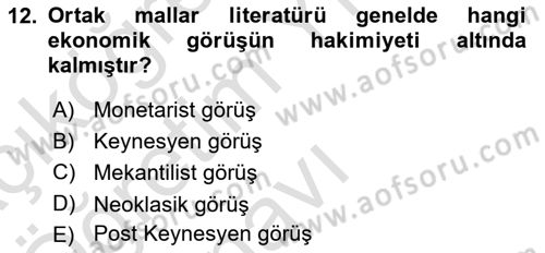 Kamu Ekonomisi 1 Dersi 2020 - 2021 Yılı Yaz Okulu Sınav Soruları 12. Soru