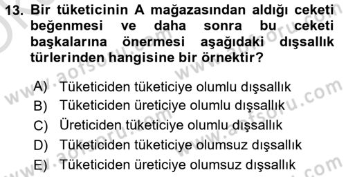 Kamu Ekonomisi 1 Dersi 2020 - 2021 Yılı Yaz Okulu Sınav Soruları 13. Soru
