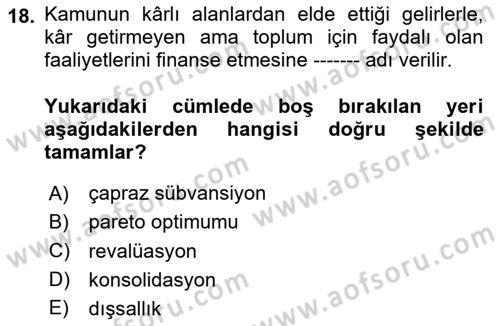 Kamu Ekonomisi 1 Dersi 2020 - 2021 Yılı Yaz Okulu Sınav Soruları 18. Soru