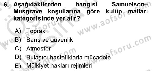 Kamu Ekonomisi 1 Dersi 2020 - 2021 Yılı Yaz Okulu Sınav Soruları 6. Soru