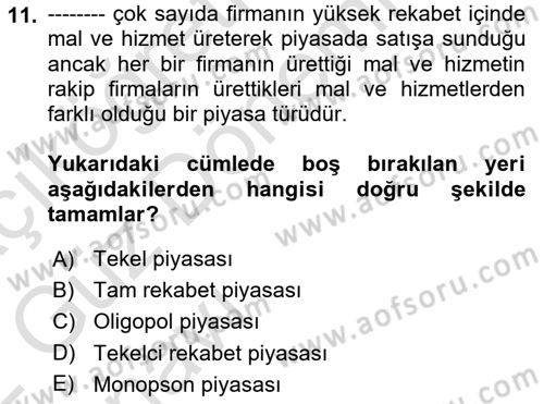 Kamu Ekonomisi 1 Dersi Ara Sınavı Deneme Sınav Soruları 11. Soru