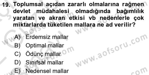 Kamu Ekonomisi 1 Dersi Ara Sınavı Deneme Sınav Soruları 19. Soru