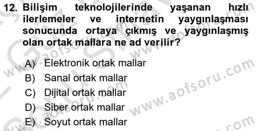 Kamu Ekonomisi 1 Dersi 2021 - 2022 Yılı (Final) Dönem Sonu Sınav Soruları 12. Soru