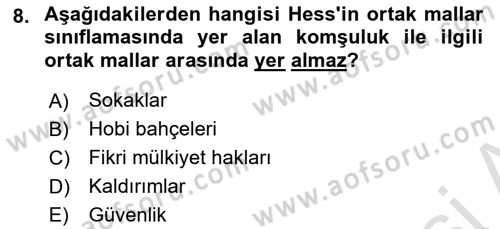 Kamu Ekonomisi 1 Dersi 2021 - 2022 Yılı (Final) Dönem Sonu Sınav Soruları 8. Soru