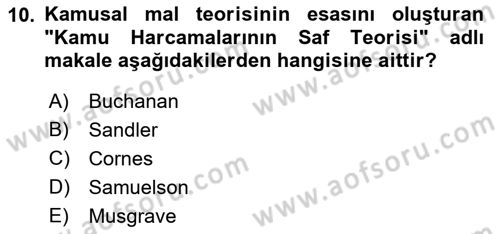 Kamu Ekonomisi 1 Dersi 2021 - 2022 Yılı Yaz Okulu Sınav Soruları 10. Soru