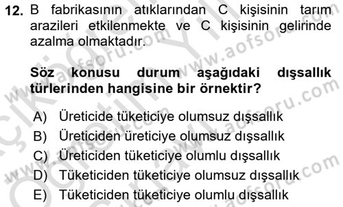 Kamu Ekonomisi 1 Dersi 2021 - 2022 Yılı Yaz Okulu Sınav Soruları 12. Soru