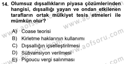 Kamu Ekonomisi 1 Dersi 2021 - 2022 Yılı Yaz Okulu Sınav Soruları 14. Soru