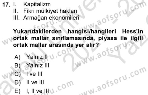 Kamu Ekonomisi 1 Dersi 2021 - 2022 Yılı Yaz Okulu Sınav Soruları 17. Soru