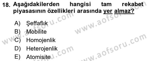 Kamu Ekonomisi 1 Dersi 2021 - 2022 Yılı Yaz Okulu Sınav Soruları 18. Soru