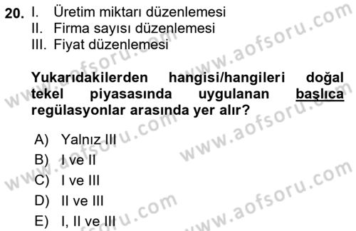 Kamu Ekonomisi 1 Dersi 2021 - 2022 Yılı Yaz Okulu Sınav Soruları 20. Soru