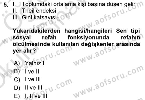 Kamu Ekonomisi 1 Dersi 2021 - 2022 Yılı Yaz Okulu Sınav Soruları 5. Soru