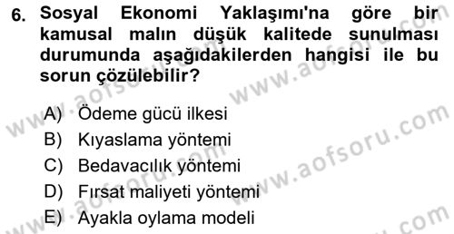 Kamu Ekonomisi 1 Dersi 2021 - 2022 Yılı Yaz Okulu Sınav Soruları 6. Soru