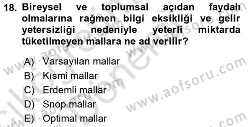 Kamu Ekonomisi 1 Dersi 2022 - 2023 Yılı (Vize) Ara Sınav Soruları 18. Soru
