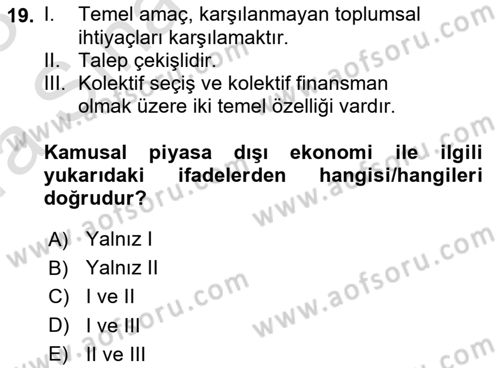 Kamu Ekonomisi 1 Dersi 2022 - 2023 Yılı (Vize) Ara Sınav Soruları 19. Soru