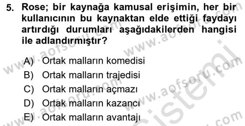 Kamu Ekonomisi 1 Dersi 2022 - 2023 Yılı (Final) Dönem Sonu Sınav Soruları 5. Soru