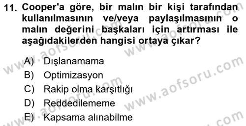 Kamu Ekonomisi 1 Dersi 2022 - 2023 Yılı Yaz Okulu Sınav Soruları 11. Soru
