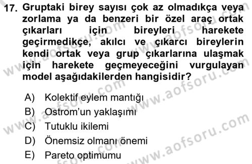Kamu Ekonomisi 1 Dersi 2022 - 2023 Yılı Yaz Okulu Sınav Soruları 17. Soru