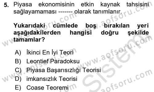 Kamu Ekonomisi 1 Dersi 2022 - 2023 Yılı Yaz Okulu Sınav Soruları 5. Soru