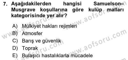 Kamu Ekonomisi 1 Dersi 2022 - 2023 Yılı Yaz Okulu Sınav Soruları 7. Soru
