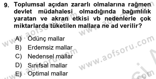 Kamu Ekonomisi 1 Dersi 2022 - 2023 Yılı Yaz Okulu Sınav Soruları 9. Soru