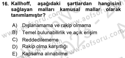 Kamu Ekonomisi 1 Dersi 2023 - 2024 Yılı (Vize) Ara Sınav Soruları 16. Soru