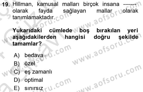 Kamu Ekonomisi 1 Dersi 2023 - 2024 Yılı (Vize) Ara Sınav Soruları 19. Soru