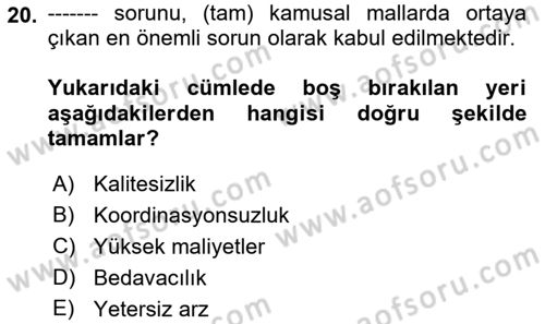 Kamu Ekonomisi 1 Dersi Ara Sınavı Deneme Sınav Soruları 20. Soru