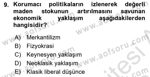 Kamu Ekonomisi 1 Dersi 2023 - 2024 Yılı (Vize) Ara Sınav Soruları 9. Soru