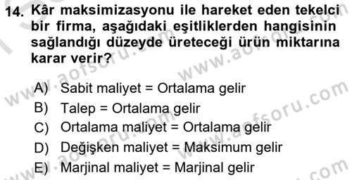 Kamu Ekonomisi 1 Dersi 2023 - 2024 Yılı (Final) Dönem Sonu Sınav Soruları 14. Soru