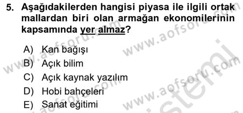 Kamu Ekonomisi 1 Dersi 2023 - 2024 Yılı (Final) Dönem Sonu Sınav Soruları 5. Soru