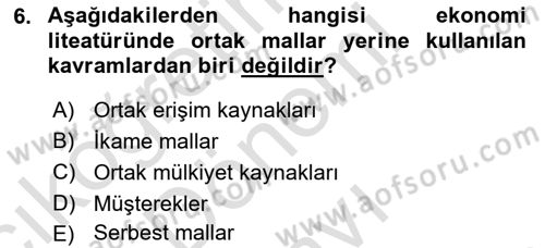 Kamu Ekonomisi 1 Dersi 2023 - 2024 Yılı (Final) Dönem Sonu Sınav Soruları 6. Soru