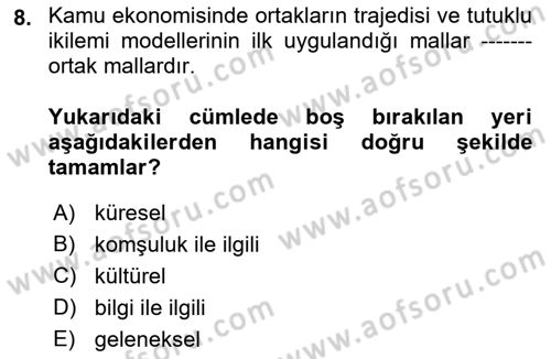 Kamu Ekonomisi 1 Dersi 2023 - 2024 Yılı (Final) Dönem Sonu Sınav Soruları 8. Soru