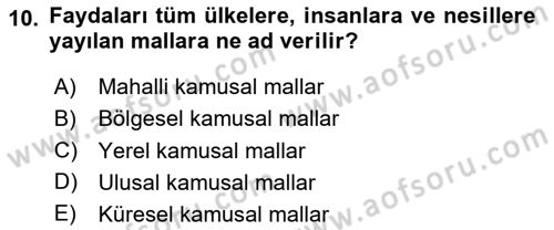 Kamu Ekonomisi 1 Dersi 2023 - 2024 Yılı Yaz Okulu Sınav Soruları 10. Soru