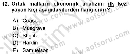 Kamu Ekonomisi 1 Dersi 2023 - 2024 Yılı Yaz Okulu Sınav Soruları 12. Soru
