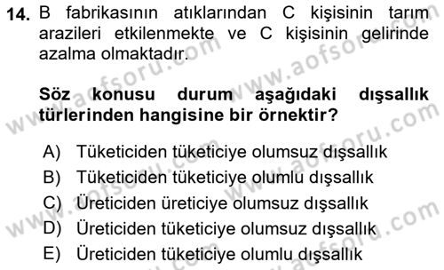 Kamu Ekonomisi 1 Dersi 2023 - 2024 Yılı Yaz Okulu Sınav Soruları 14. Soru