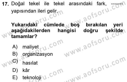 Kamu Ekonomisi 1 Dersi 2023 - 2024 Yılı Yaz Okulu Sınav Soruları 17. Soru