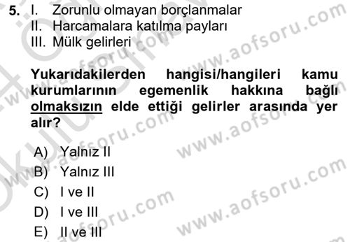 Kamu Ekonomisi 1 Dersi 2023 - 2024 Yılı Yaz Okulu Sınav Soruları 5. Soru
