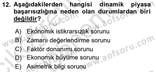Kamu Ekonomisi 1 Dersi 2024 - 2025 Yılı (Vize) Ara Sınav Soruları 12. Soru