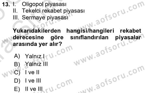 Kamu Ekonomisi 1 Dersi 2024 - 2025 Yılı (Vize) Ara Sınav Soruları 13. Soru