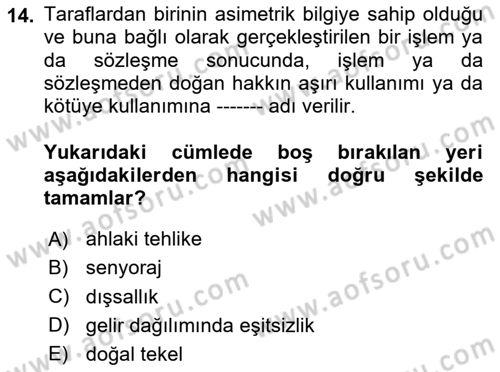 Kamu Ekonomisi 1 Dersi 2024 - 2025 Yılı (Vize) Ara Sınav Soruları 14. Soru