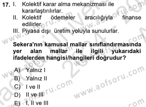 Kamu Ekonomisi 1 Dersi 2024 - 2025 Yılı (Vize) Ara Sınav Soruları 17. Soru