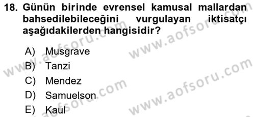 Kamu Ekonomisi 1 Dersi 2024 - 2025 Yılı (Vize) Ara Sınav Soruları 18. Soru