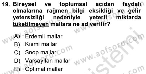 Kamu Ekonomisi 1 Dersi 2024 - 2025 Yılı (Vize) Ara Sınav Soruları 19. Soru