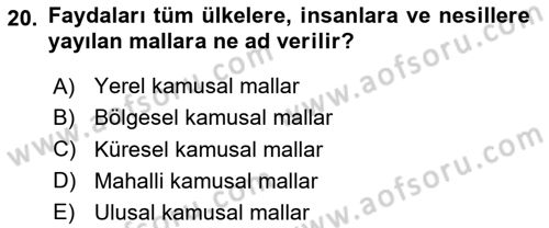Kamu Ekonomisi 1 Dersi 2024 - 2025 Yılı (Vize) Ara Sınav Soruları 20. Soru