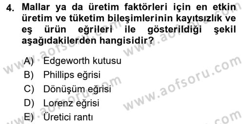 Kamu Ekonomisi 1 Dersi 2024 - 2025 Yılı (Vize) Ara Sınav Soruları 4. Soru