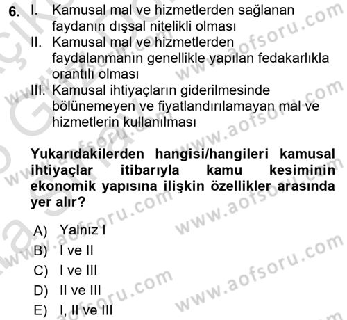 Kamu Ekonomisi 1 Dersi 2024 - 2025 Yılı (Vize) Ara Sınav Soruları 6. Soru