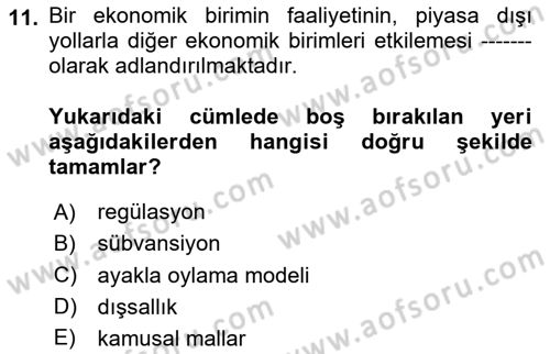 Kamu Ekonomisi 1 Dersi 2024 - 2025 Yılı (Final) Dönem Sonu Sınav Soruları 11. Soru