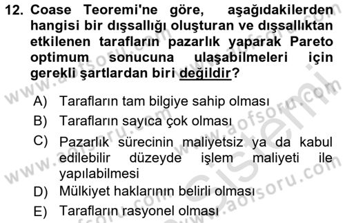 Kamu Ekonomisi 1 Dersi 2024 - 2025 Yılı (Final) Dönem Sonu Sınav Soruları 12. Soru