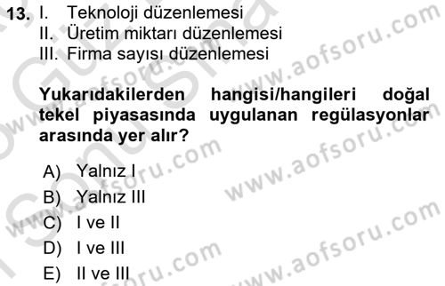 Kamu Ekonomisi 1 Dersi 2024 - 2025 Yılı (Final) Dönem Sonu Sınav Soruları 13. Soru